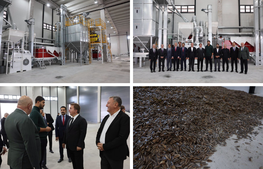 Erzincan’da Günde 100 Ton Ayçekirdeği İşlenecek