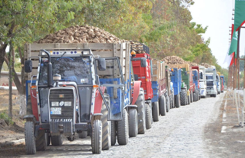 Erzincan’da Şeker Pancarı Alım Kampanyası Başladı