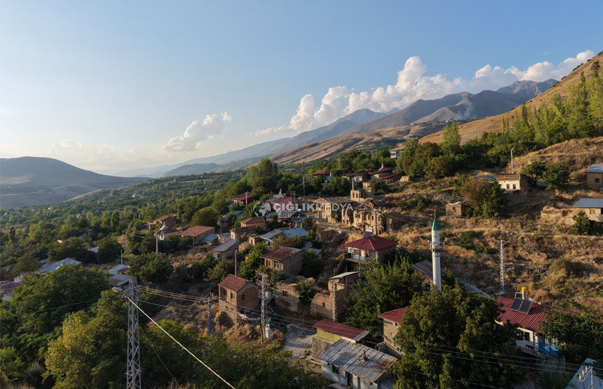 DOĞA