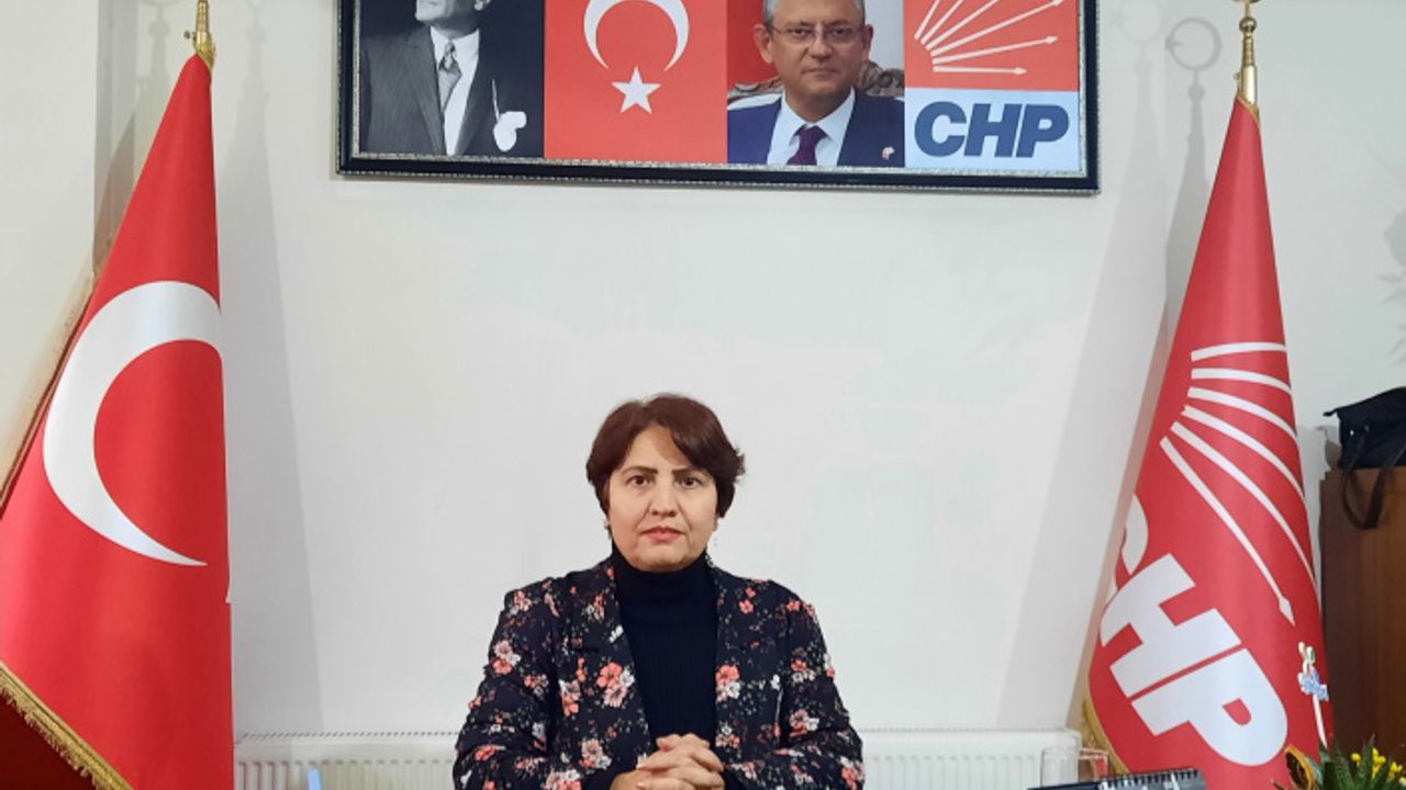 Fevziye Köylü CHP Erzincan İl Başkanı Oldu