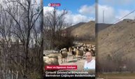 Erzincan Çağlayan’ın Bilinmeyen Yüzü! Arka Mahallelerini Gezdik