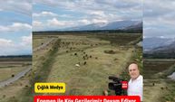 Kırsalda Huzur | Genç Çobanın Sürüsü Doğanın Kalbinde Otluyor 🐄🌿