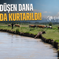 ERZİNCAN