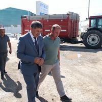 TARIM