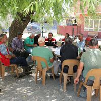 TARIM
