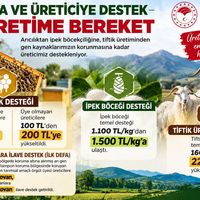 ERZİNCAN