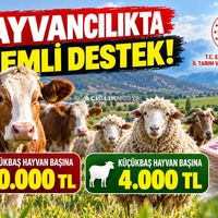ERZİNCAN