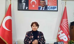 Fevziye Köylü CHP Erzincan İl Başkanı Oldu