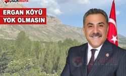 Kemal Çelik Ergan Köyü'nün Sorununu Meclise Taşıdı