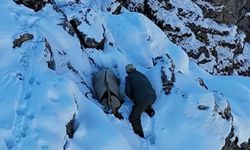 Kaçak Av Yaptığı İddia Edilen Kişi Kameraya Yakalandı