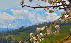 Nevruz Bayramımız Kutlu Olsun