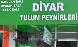 Tulum Peynirimizin Serüvenini Diyar Peynircilik'ten Dinledik