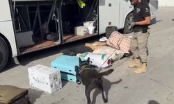 Erzincan Polisi Yol Kontrollerinde Zehir Tacirlerine Geçit Vermiyor