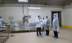 Erzincan Süt Ürünleri İşleme Fabrikası