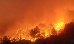 İzmir Yangını Evlere Sıçradı Yerleşim Yerleri Boşaltıldı