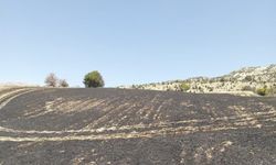 Tunceli Çemişgezek’te Yangın