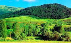 Tedbir Amaçlı Erzincan’da Orman Girişleri Kısıtlandı