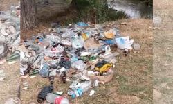 Beytahtı Kaderine mi Terk Edildi?
