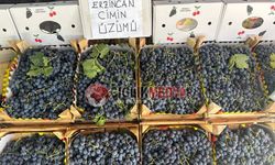 Erzincan’ın Tescilli Lezzeti Cimin Üzümü Tezgâhlarda Yükselişte