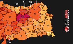 Erzincan Trafik Kazası Ölümlerinde Türkiye İkincisi