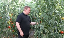 İlimiz Ekonomisine Katma Değer Sağlayan Seracılık Gelişiyor