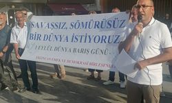 Erzincan’da 1 Eylül Dünya Barış Günü İçin Basın Açıklaması