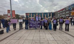 Erzincan’da Kadın Platformu’ndan “Rojin Kabaiş” İçin Adalet Çağrısı