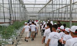 Erzincan’da İlkokul Öğrencileri İçin Tarım Kampı Düzenlendi