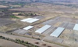 Erzincan’da Toplu Sera Projesiyle Tarımda Yeni Dönem
