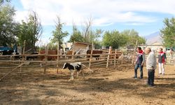 Erzincan’da Genç Girişimciler Tarımsal Üretime Katkı Sağlıyor