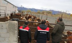 Akyazı'daki Hayvancılık İşletmesine Ziyaret