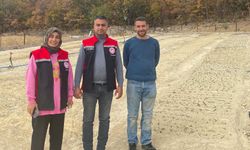 Kemaliye Başpınar’da Alternatif Ürün Başarısı: Üretici Ersin Demir Salep Yetiştiriciliğine Başladı