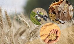 Çiftçilere 1,5 Milyar Liralık Destek Ödemesi Yapılacak