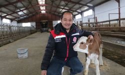 Erzincan’da Süt Hayvancılığı İşletmesine Ziyaret