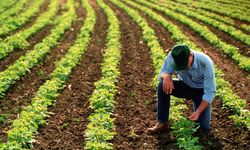 2026 Yılı ÇKS Başvurularında Son Tarih 31 Aralık 2025