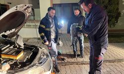 Araç Motorunda Mahsur Kalan Kedi Kurtarıldı