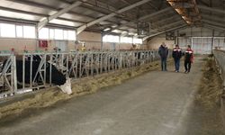Erzincan’da Süt Sığırcılığına Ziyaret