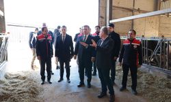 Vali Aydoğdu Tarım ve Hayvancılık Yatırımlarını İnceledi