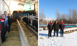 Güllüce'de Arıcılık ve Hayvancılığa Yerinde Destek