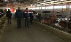 Hayvancılıkta Sürdürülebilir Üretim Sahada İncelendi