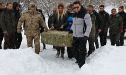 Munzur Vadisi’nde Yaban Hayvanları İçin Doğaya Yem Desteği