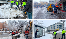 Karla Mücadele Çalışmaları Aralıksız Sürüyor