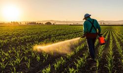 Erzincan’da B-Reçete Dönemi 1 Temmuz 2026’da Başlıyor