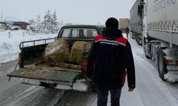 Yoğun Kar Yağışında Canlı Hayvan Sevkiyatına Acil Müdahale
