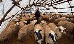 Kemah'ta Genç Üretici Takdir Topladı