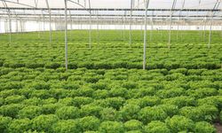 Erzincan’da Tarım ve Hayvancılığa 178 Milyon TL’lik Büyük Yatırım