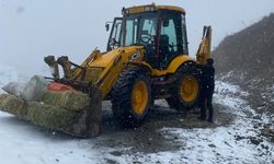 Üzümlü’de Yaban Hayatı İçin Yemleme Çalışması Yapıldı