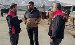 Kesimhanelerde “Yağsız Kesim” Dönemi Başladı