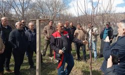 Erzincan’da Çiftçilere Budama Eğitimi Verildi