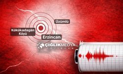 Erzincan’da 4.1 Büyüklüğünde Deprem: Valilikten İlk Açıklama Geldi
